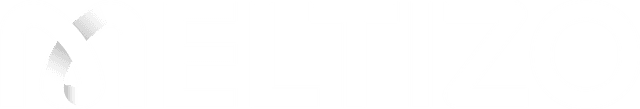 Meltizo Logo
